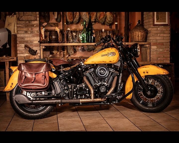 Rusty Sun Softail